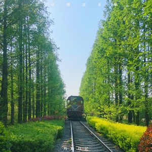 一个上添一个下添口是什么字
