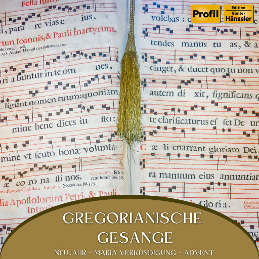 一个上添一个下添口是什么字
